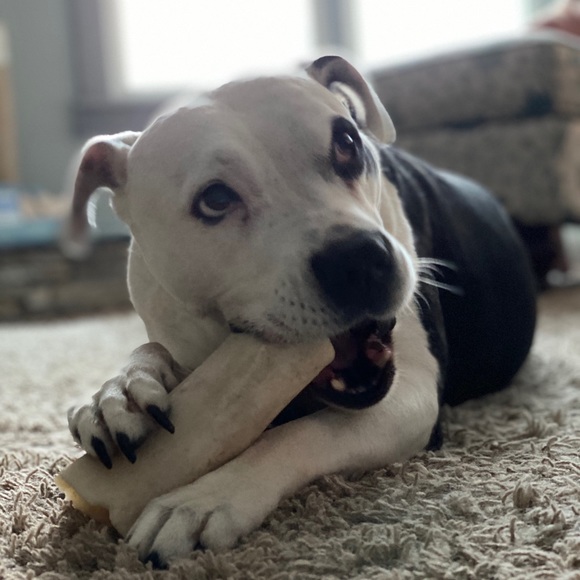 Meet your Posher, Kelly - Picture 1 of 1